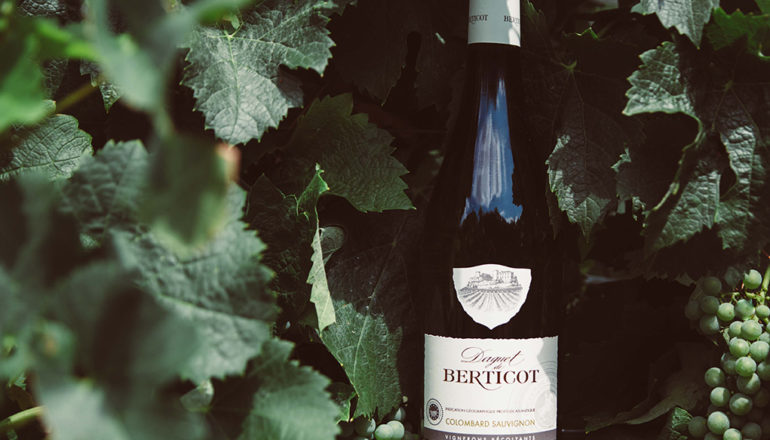 Nouveauté cépage dans la famille de Berticot : le colombard fait son arrivée ! Evolution du marché des vins blancs secs et fruités et des IGP Atlantique